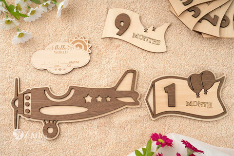 Celebrate Baby's Milestones with a Vintage Airplane-Themed Sign Set