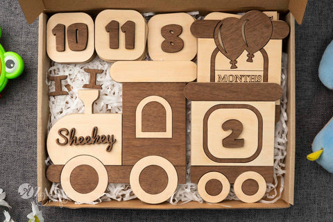 Train-Themed Wooden Monthly Milestone Sign Set for Baby