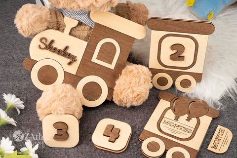 Train-Themed Wooden Monthly Milestone Sign Set for Baby