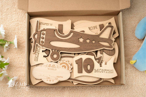 Celebrate Baby's Milestones with a Vintage Airplane-Themed Sign Set