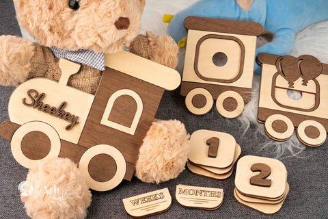 Train-Themed Wooden Monthly Milestone Sign Set for Baby