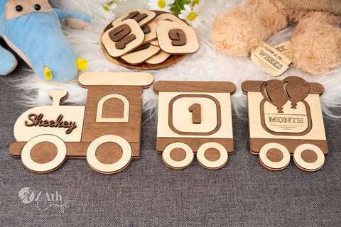 Train-Themed Wooden Monthly Milestone Sign Set for Baby